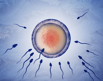 Illustration of Cryopreservation of genetic material. Sperm cells and ovum on blue background, frost effect