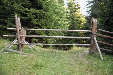Old wooden fence near conifer forest outdoors