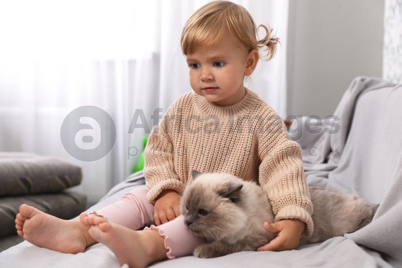 Cute little child sitting with adorable pet on sofa at home