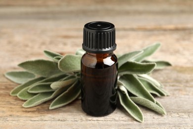 Bottle of essential sage oil and leaves on wooden table, closeup.
