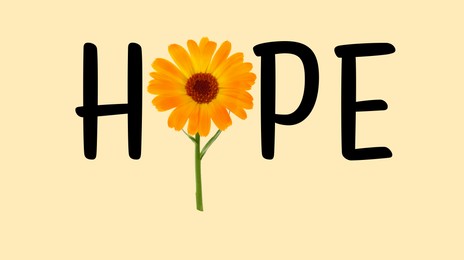 Word HOPE made with letters and beautiful calendula flower on beige background