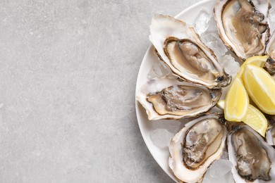 Delicious fresh oysters with lemon slices on light grey table, top view. Space for text