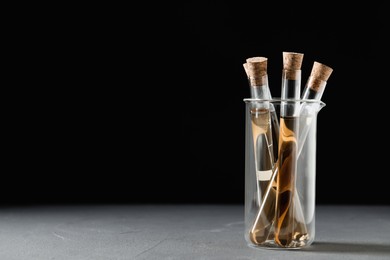 Photo of Test tubes with brown liquid on grey table. Space for text