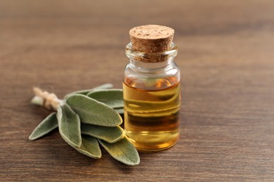 Bottle of essential sage oil and twig on wooden table