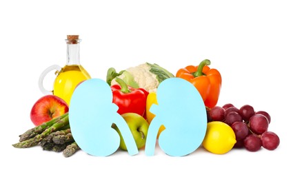 Photo of Paper cutout of kidneys and different healthy products on white background