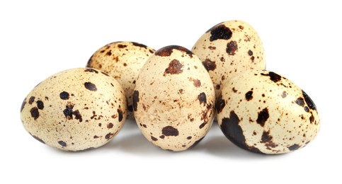 Many beautiful quail eggs on white background