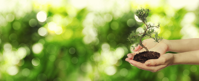 Woman holding small tree in soil on blurred green background, banner design with space for text. Ecology protection