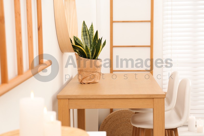 Photo of Stylish room interior with wooden table and potted plant