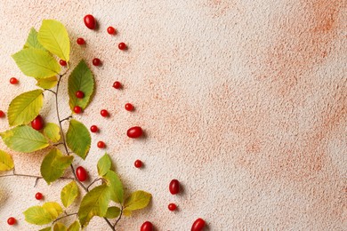Branch of autumn leaves and red berries on color background, flat lay. Space for text