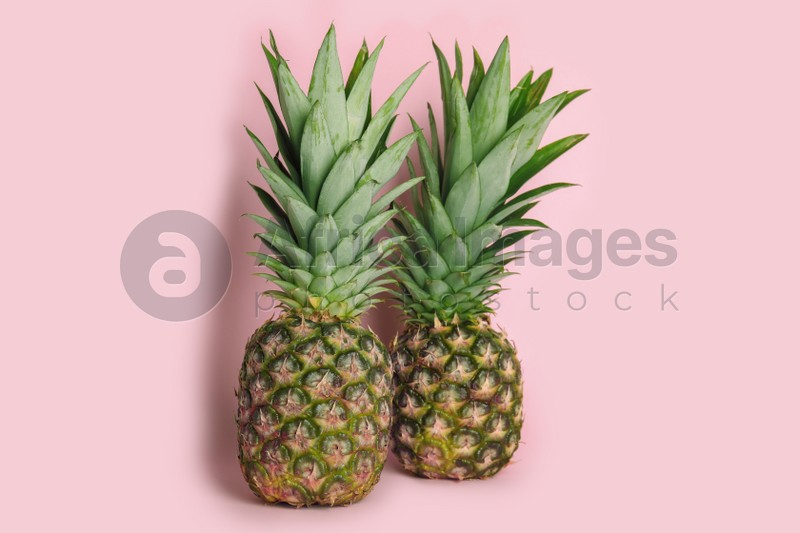 Photo of Whole ripe juicy pineapples on pink background