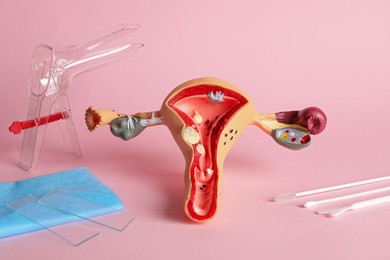 Gynecological examination kit and anatomical uterus model on pink background