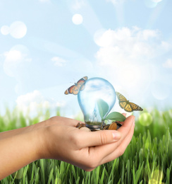Solar energy concept. Woman holding glowing light bulb with seedling and coins near green grass under blue sky, closeup