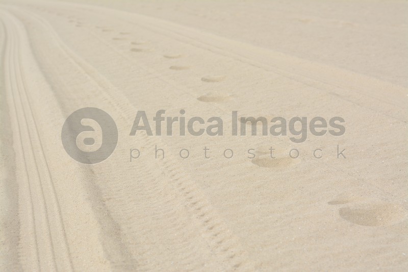 Dry beach sand with track of car as background, closeup