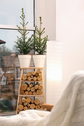 Small potted fir trees in light room. Interior design