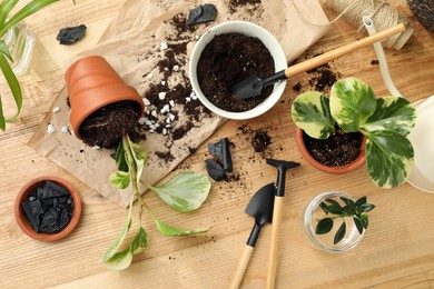 Houseplants and gardening tools on wooden table, flat lay