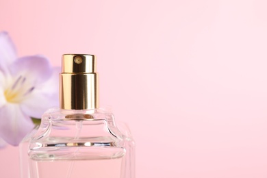 Bottle of perfume and freesia flower on pink background, closeup. Space for text