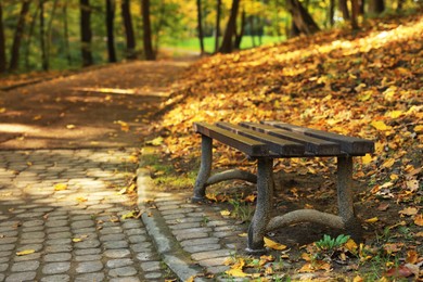 Wooden bench, pathway and fallen leaves in beautiful park on autumn day, Space for text