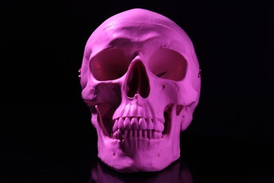 White human skull with teeth on black background
