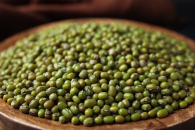 Closeup view of wooden bowl with green mung beans