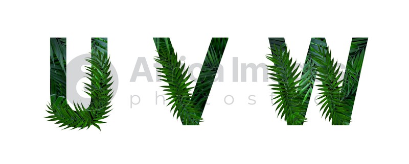 Image of Letters U, V, W decorated with floral pattern on white background. Banner design