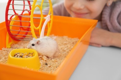 Little girl playing with cute hamster at home, closeup