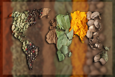 Double exposure of world map and different spices on blurred background. Logistic and wholesale concept