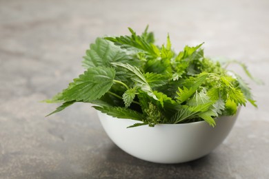 Fresh stinging nettle leaves in bowl on grey table, closeup