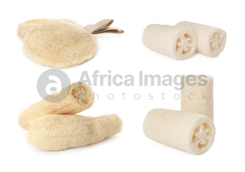 Set with natural shower loofah sponges on white background