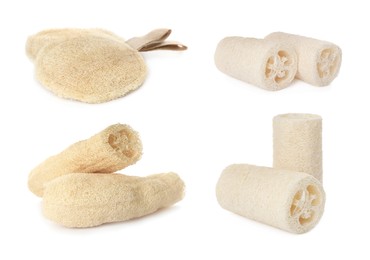 Set with natural shower loofah sponges on white background