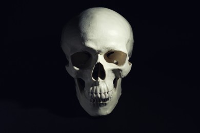 Photo of White human skull with teeth on black background