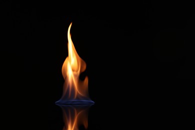 Beautiful view of flaming vodka on black background