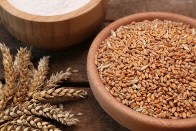 Wheat grains and flour in bowls with spikelets on wooden table, closeup