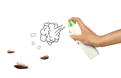 Pest control. Using household insecticide to kill cockroaches on white background, closeup. Illustration