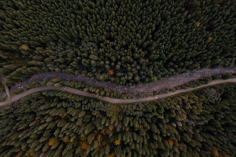 Aerial view of beautiful forest, river and empty road on autumn day