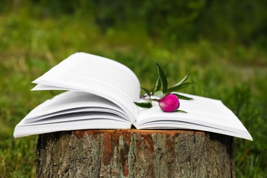 Open book with beautiful peony bud on tree stump outdoors