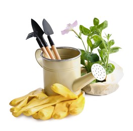 Photo of Watering can, flower and gardening tools on white background