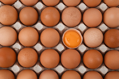 Photo of Raw chicken eggs in carton tray, top view