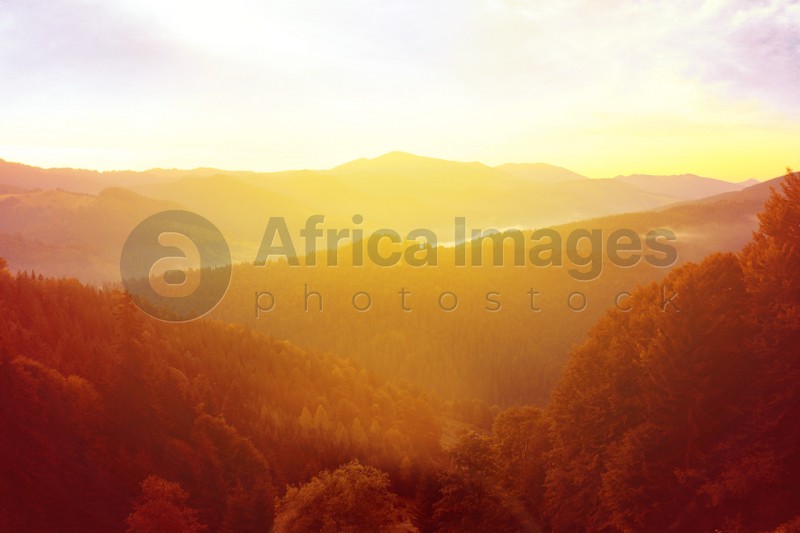 Image of Amazing view of beautiful foggy mountains in morning
