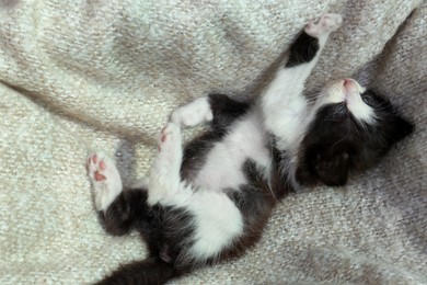 Photo of Cute baby kitten lying on cozy blanket, top view