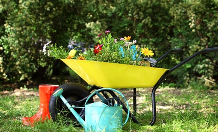 Wheelbarrow with gardening tools and flowers on grass outside