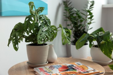 Photo of Beautiful house plants and magazines on wooden table indoors. Home design idea