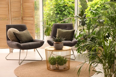Lounge area interior with comfortable armchairs and houseplants