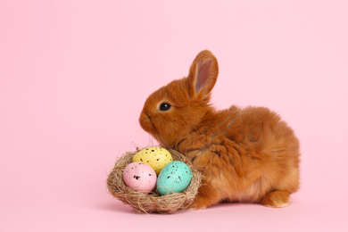 Adorable fluffy bunny and decorative nest with Easter eggs on pink background