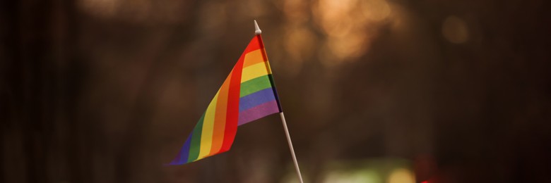 Small LGBT flag on blurred background. Banner design