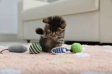 Little kitten playing with toys at home