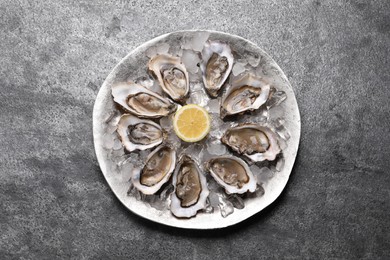 Delicious fresh oysters with lemon on grey table, top view