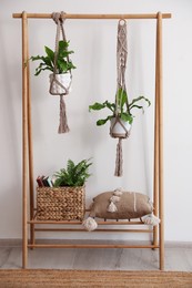 Beautiful ferns, basket and pillow on wooden rack indoors