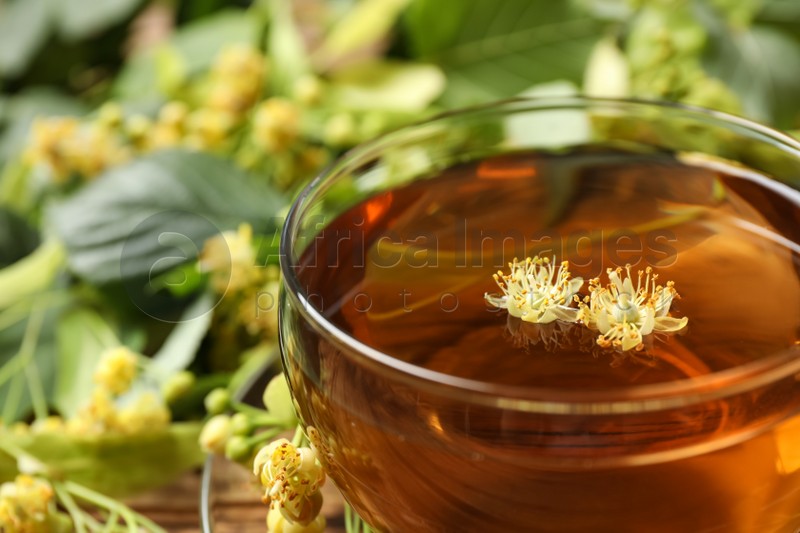 Cup of tea with linden blossom on blurred background, closeup