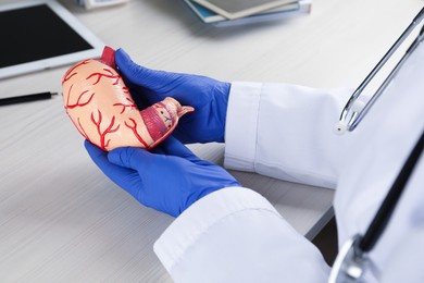 Gastroenterologist with human stomach model at table, closeup