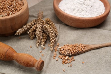Photo of Wheat grains, flour and spikelets on cloth